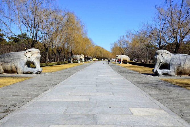 Private Day Tour of Juyongguan Great Wall and Sacred Way From Beijing - Booking Confirmation