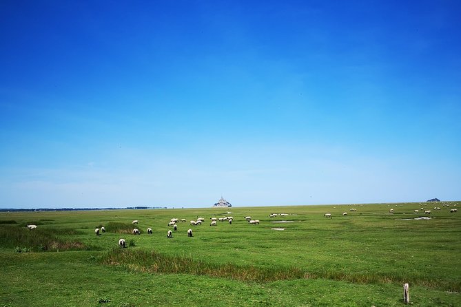 Private Day Tour of Mont Saint-Michel From Bayeux - Normandy Coastal Journey