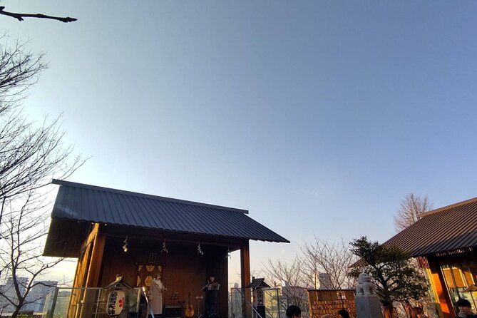 Private Day Tour of Tokyo Shrine for Oharai Yakubarai - Key Points