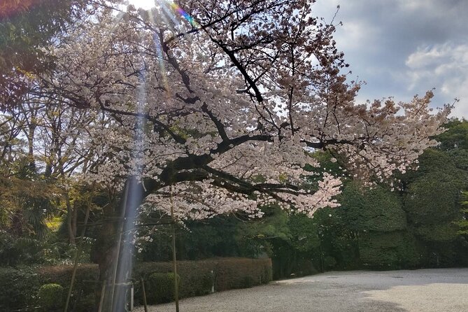 Private Day Tour of Tokyo Shrine for Oharai Yakubarai - Pickup and Communication