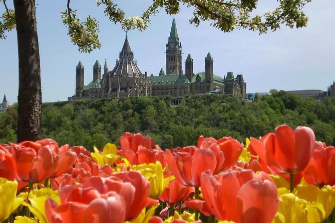 Private Day Tour OTTAWA Tulip Festival May 10-20 From MONTREAL - Inclusions