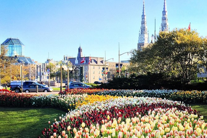 Private Day Tour OTTAWA Tulip Festival May 10-20 From MONTREAL - How to Book