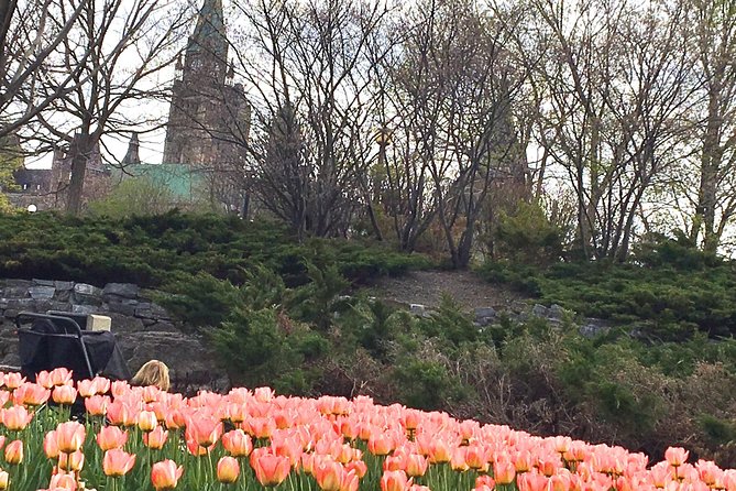 Private Day Tour OTTAWA Tulip Festival May 10-20 From MONTREAL - Tour Itinerary