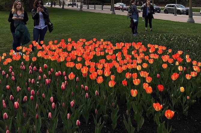 Private Day Tour OTTAWA Tulip Festival May 10-20 From MONTREAL - Contact Information