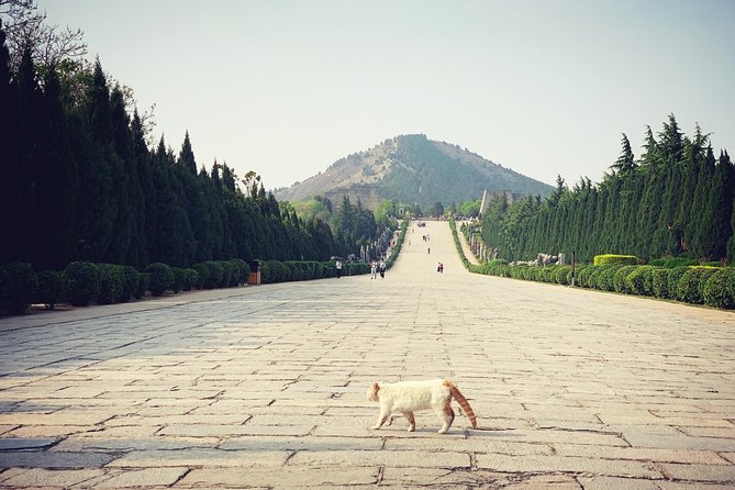 Private Day Tour: Qianling Mausoleum and Famen Temple - Famen Temple