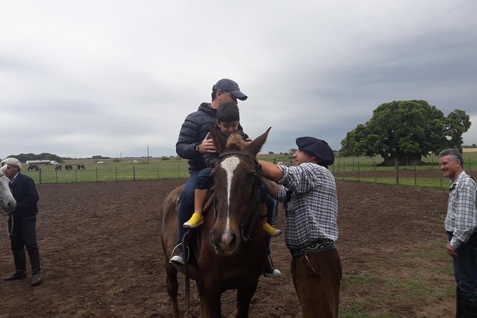 Private Day Tour To A Traditional Estancia - Booking and Confirmation