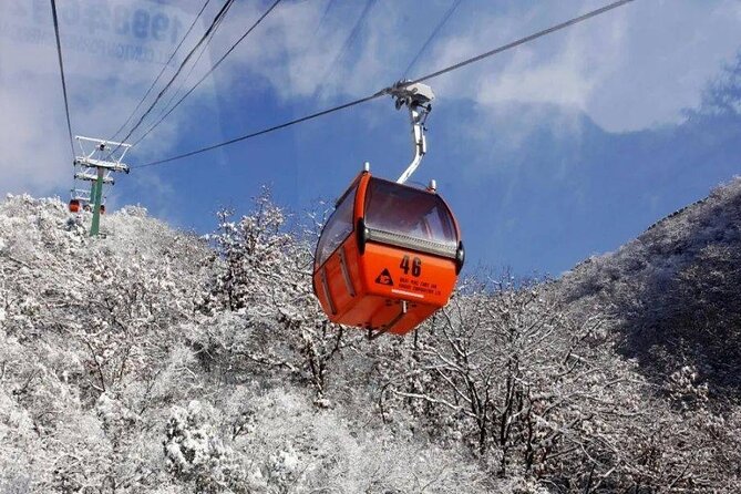 Private Day Tour to Beijing Mutianyu Great Wall - Reviews and Ratings