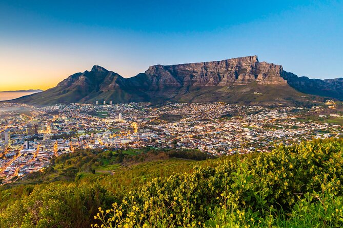 Private Day Tour to Cape of Good Hope, Penguins, Wine Tasting - Key Points
