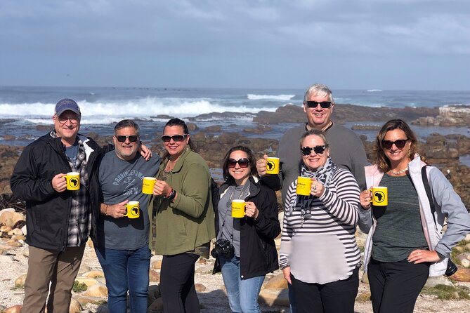 Private Day Tour to Cape of Good Hope, Penguins, Wine Tasting - Reviews
