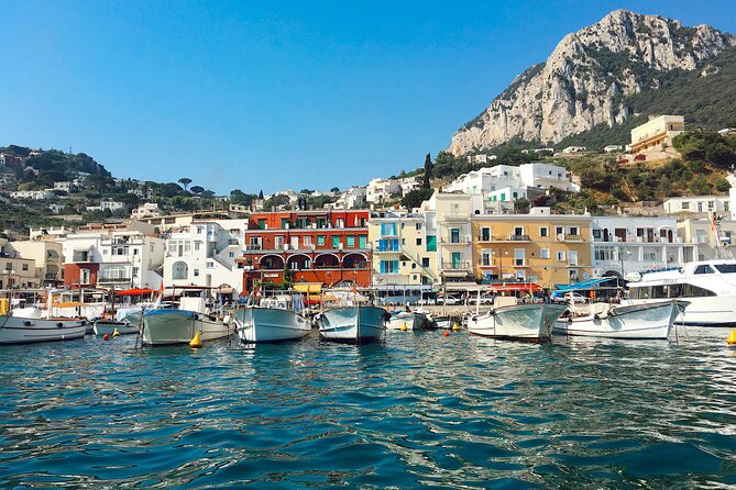 Private Day Tour to Capri and Anacapri From Naples - Accessibility and Participation