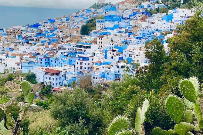Private Day Tour to Chefchaouen From Tangier - Pricing and Booking