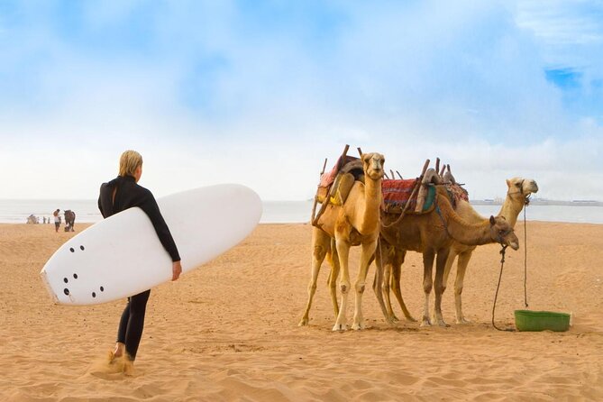 Private Day Tour To Essaouira - Key Points