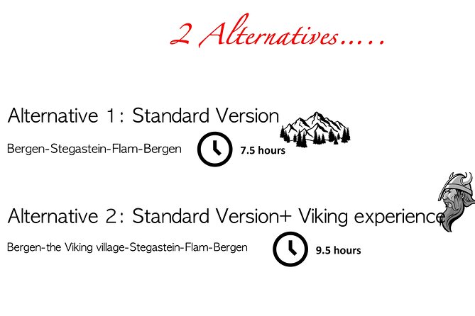 Private Day Tour to Flam and Stegastein - Customer Experience and Feedback