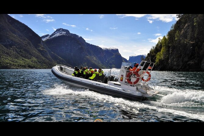 Private Day Tour to Flåm, Incl RIB Sognefjord Safari Flåm Railway - Guidance and Accessibility