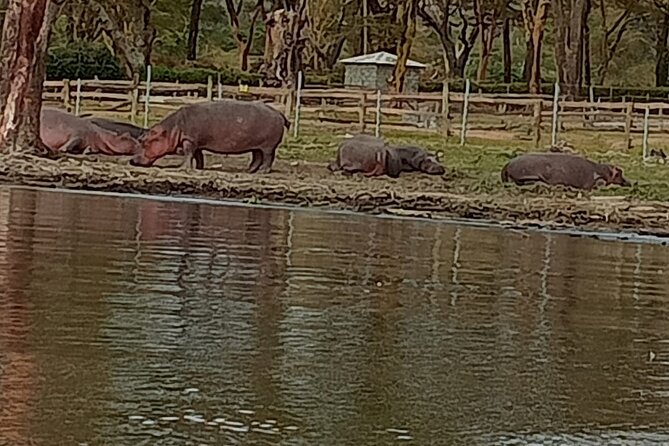 Private Day Tour to Hells Gate National Park and Lake Naivasha - Exploring Lake Naivasha