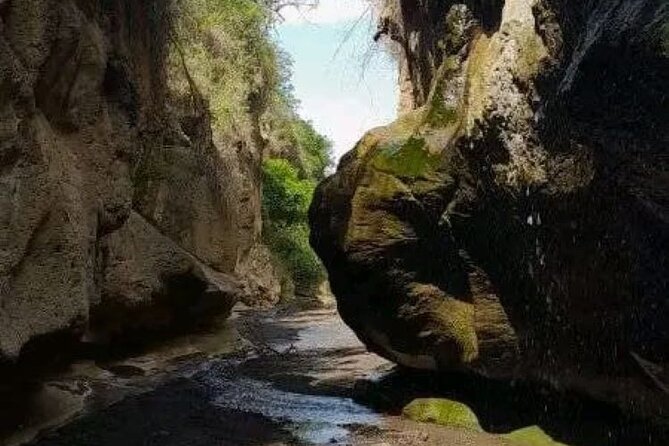 Private Day Tour to Hells Gate National Park and Lake Naivasha - Booking and Cancellation Policy