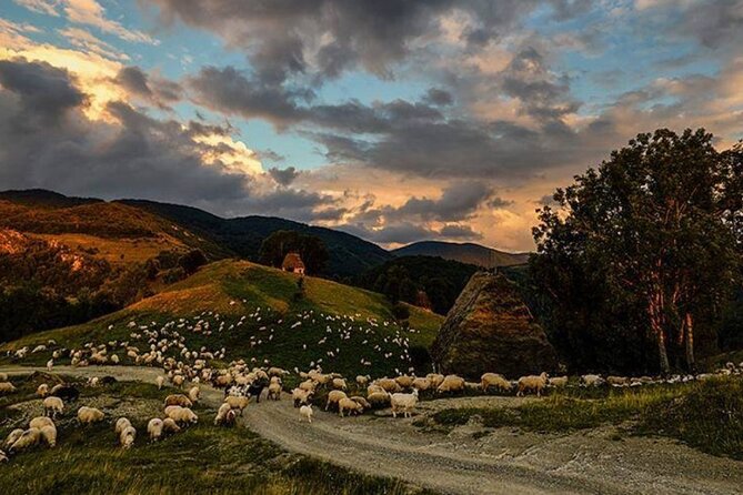 Private Day Tour to Historical Villages in Sinaia - Authentic Rural Experience