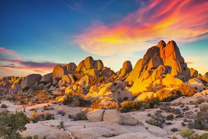 Private Day Tour to Joshua Tree National Park From San Diego - Why Choose a Private Tour