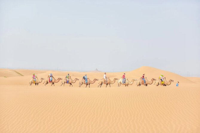 Private Day Tour to Kubuqi Desert From Hohhot With Pick up - Desert Exploration
