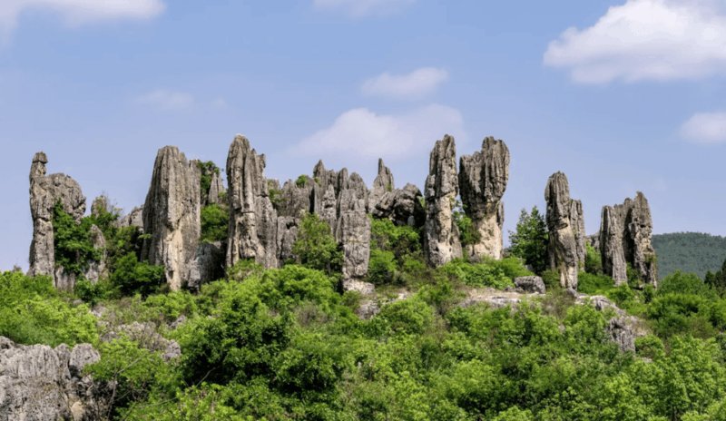 Private Day Tour to Kunming Stone Forest and Jiuxiang Cave - Experience Highlights