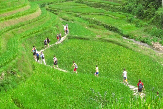 Private Day Tour to Longji Rice Terraces and Minority Villages - Pickup and Drop-off