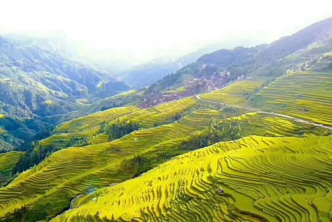 Private Day Tour to Longji Rice Terraces From Guilin - Practical Information