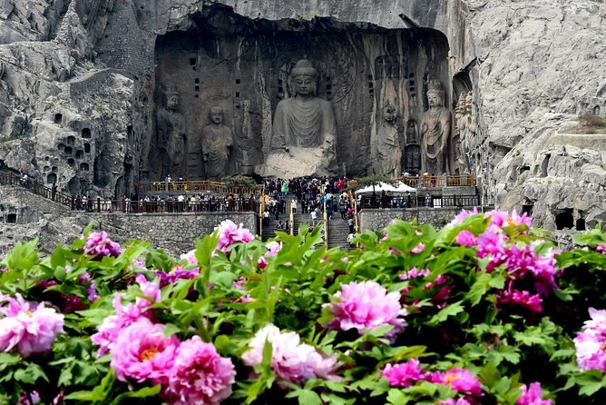 Private Day Tour to Longmen Grottoes, Luoyang Museum and White Horse Temple - Luoyang Museum Highlights
