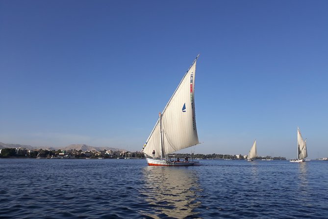 Private Day Tour to Luxor From Cairo by Plane - Booking Details
