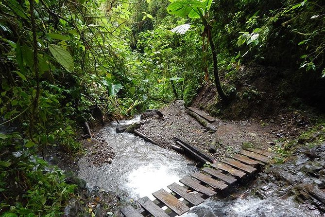 Private Day Tour to Mindo - Waterfalls & Hummingbirds - Getting to Mindo
