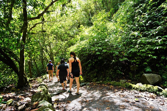 Private Day Tour to Mindo - Waterfalls & Hummingbirds - Chocolate Tasting Experience