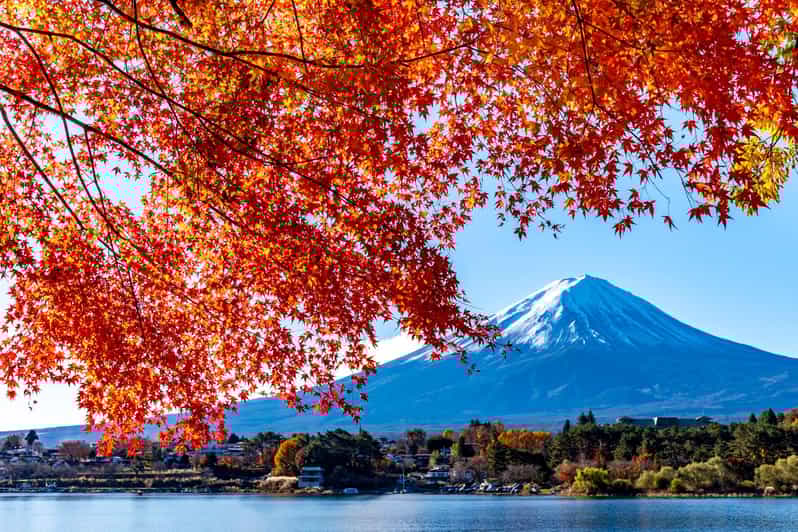 Private Day Tour to Mount Fuji Hakone With English Driver - Exploring Mt. Fuji
