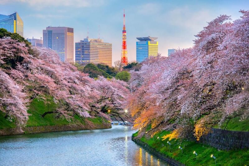 Private Day Tour to Mount Fuji Hakone With English Driver - Discovering Lake Kawaguchi