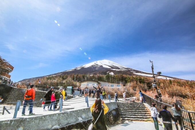 Private Day Tour to Mount Fuji Hakone With English Driver - Optional Experiences