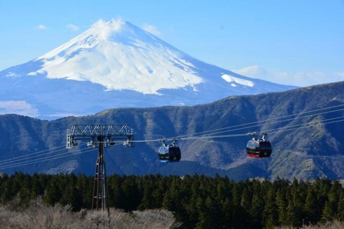 Private Day Tour to Mount Fuji Hakone With English Driver - Frequently Asked Questions