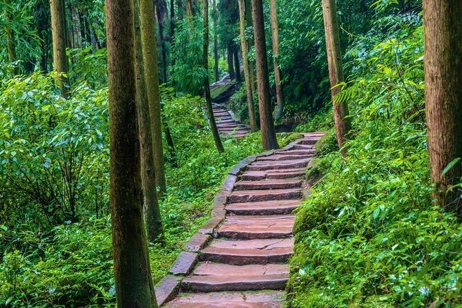 Private Day Tour to Mount Qingcheng Dujiangyan Irrigation System - Traveler Reviews and Ratings