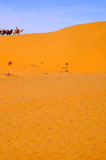 Private Day Tour to Ningxi Shapotou Desert With Fun Time - Booking and Reservation