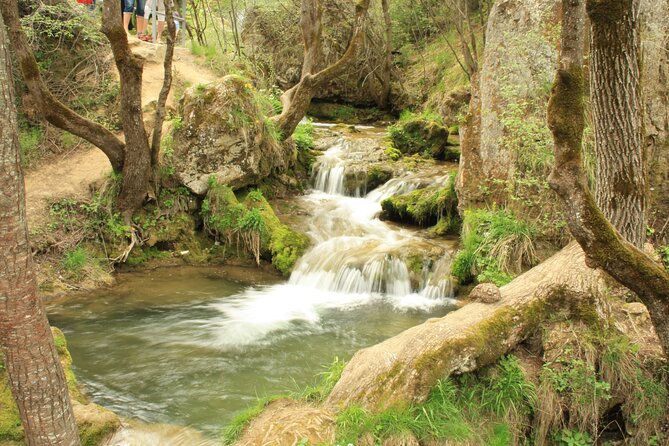 Private Day Tour to Pure Nature of Zlatibor Mountain - Sirogojno Museum