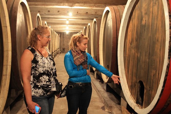 Private Day Tour to Royal Town Topola and Oplenac Mausoleum - Visiting a Royal Wine Cellar