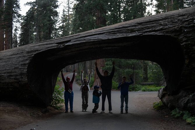 Private Day Tour to Sequoia and Kings Canyon Parks From LA - Inclusions and Logistics