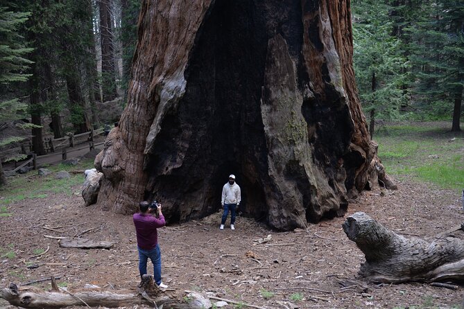 Private Day Tour to Sequoia and Kings Canyon Parks From LA - Recommended Improvements