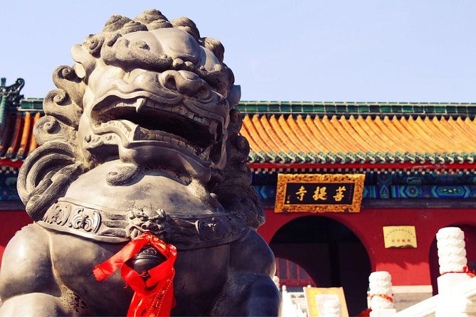 Private Day Tour to Shaolin Temple From Beijing by Bullet Train With Kungfu Show - Tour Experience and Expectations