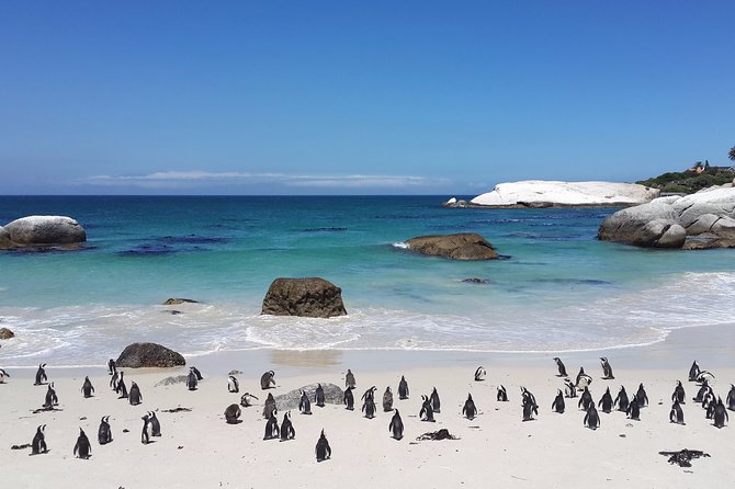 Private Day Tour to the Cape of Good Hope - Booking Details