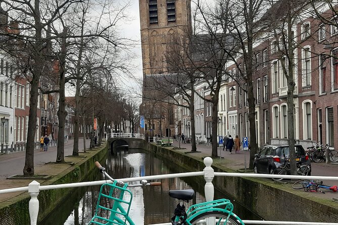 Private Day Tour to the Hague, Kinderdijk and Delft From Amsterdam - Traveler Requirements