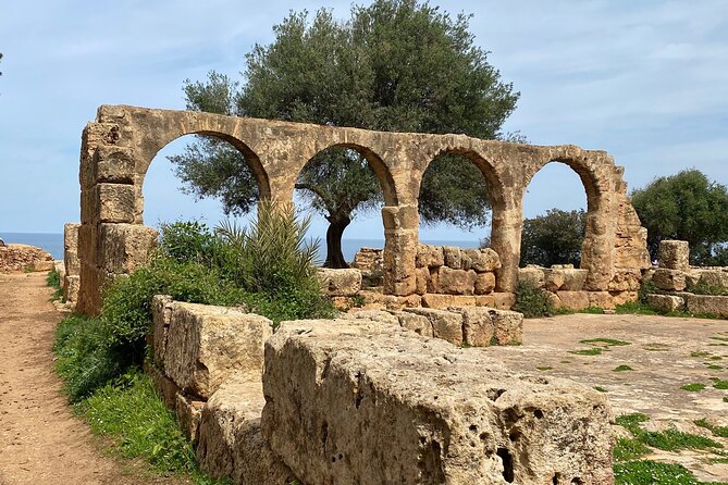 Private Day Tour to the Roman Ruins of Tipaza - Key Points