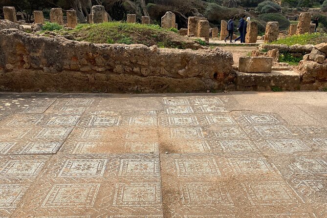 Private Day Tour to the Roman Ruins of Tipaza - Meeting and Pickup