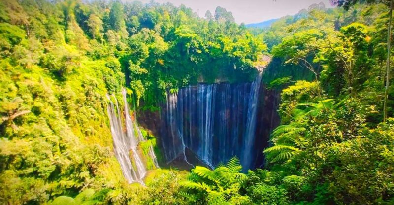 Private Day Tour To Tumpak Sewu Waterfall Start Malang City - Pickup and Transportation