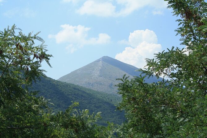 Private Day Tour to UNESCO Site Felix Romuliana - Accessibility and Participation
