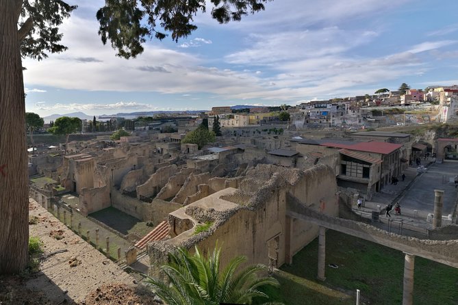 Private Day Tour to Vesuvius, Herculaneum & Pompeii With Pick up - Inclusions
