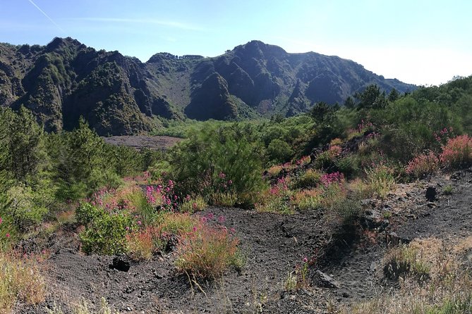 Private Day Tour to Vesuvius, Herculaneum & Pompeii With Pick up - Additional Details