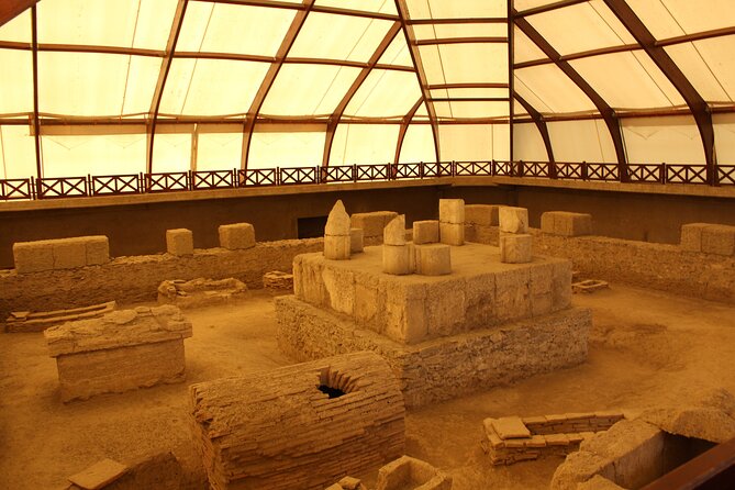 Private Day Tour to Viminacium and Smederevo Fortress - Highlights of Viminacium